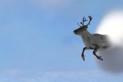 Seppo Huittinen - Rudoph-the-supersonic-reindeer